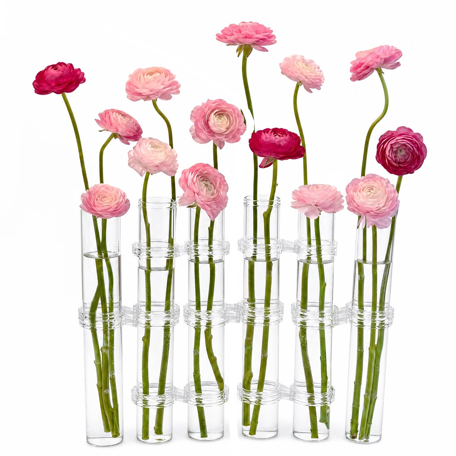 Vase à essai cylindrique TBWHL en verre (lot de 6) pour station de propagation