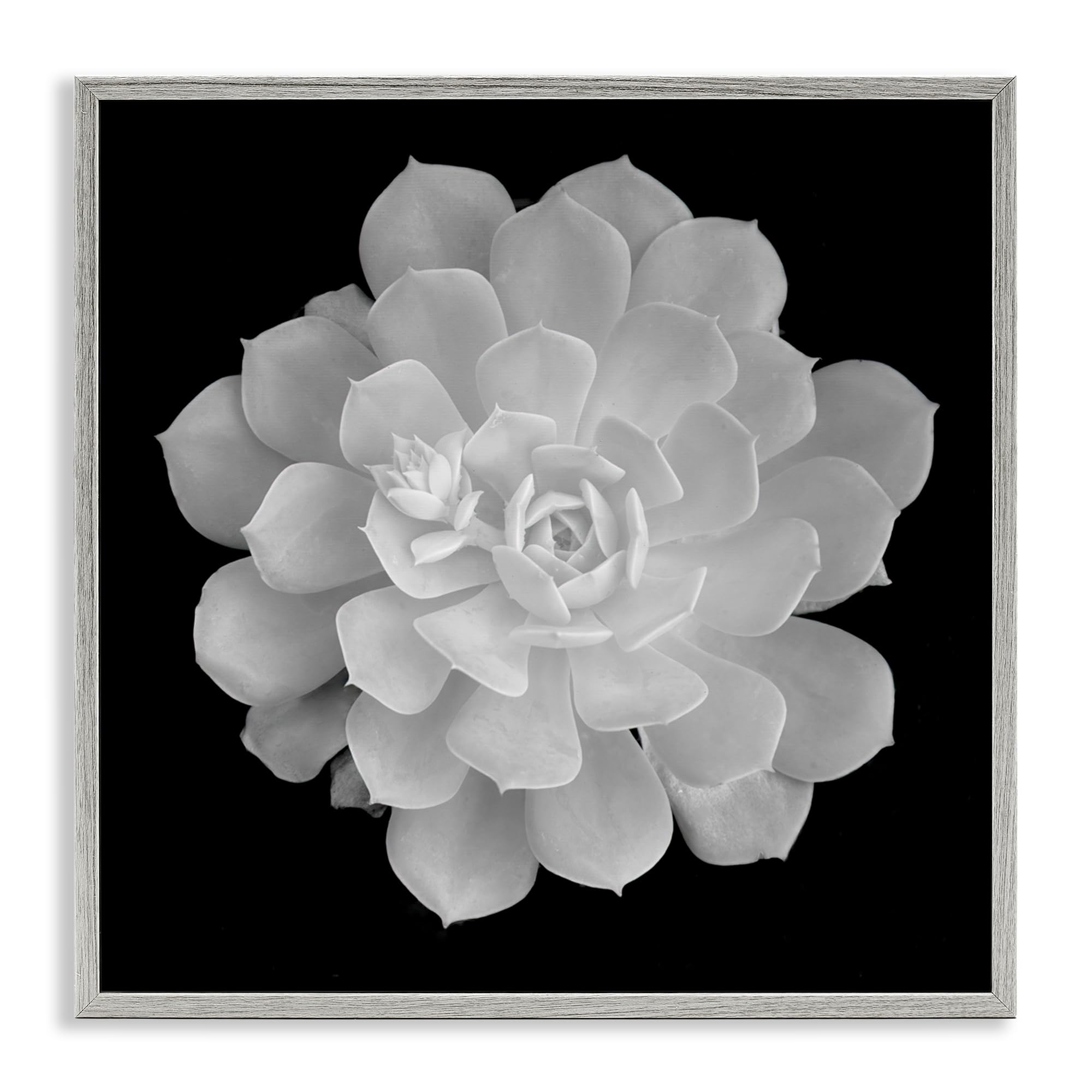 Phillip Flowers Stupell Industries pour une ambiance chambre moderne et zen