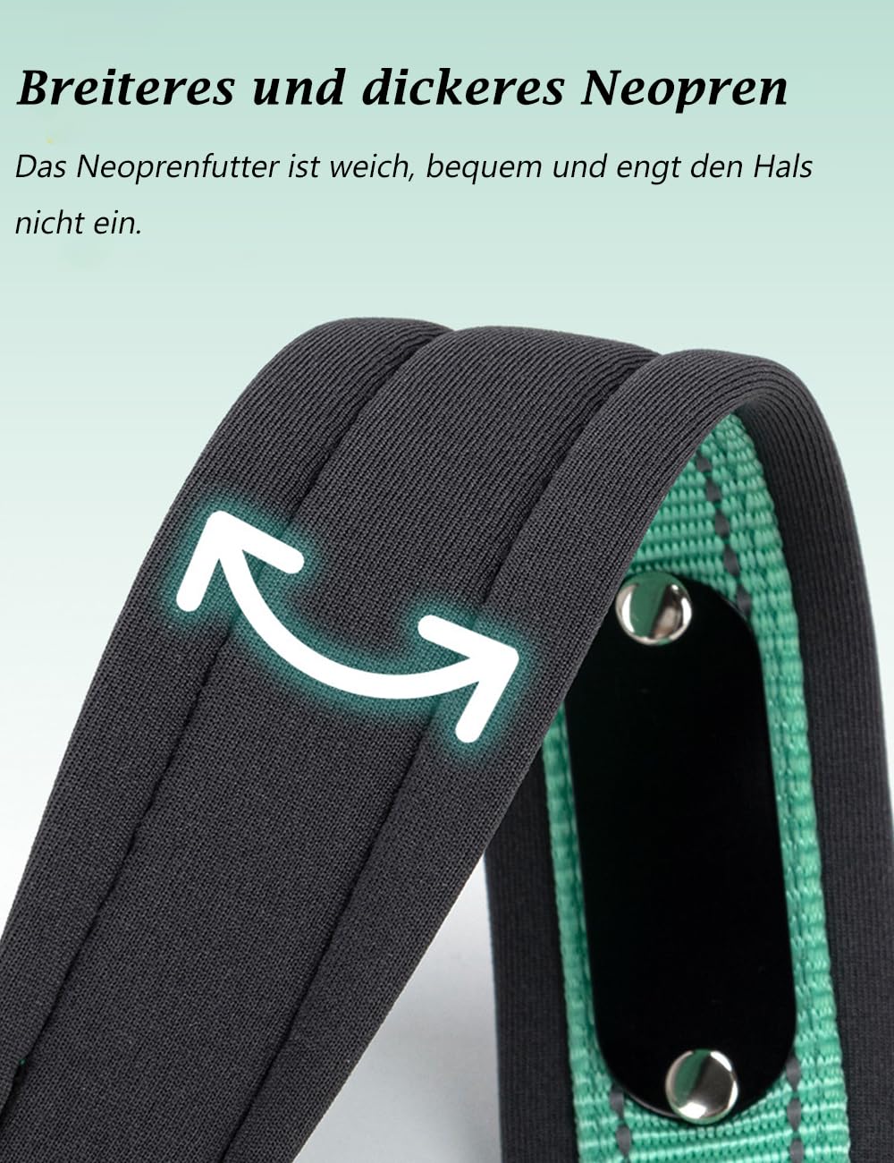Personalisiertes Reflektierendes Hundehalsband – Individuell Graviert mit Name & Telefonnummer, Weiches Neoprenfutter, Verstellbar, Robust & Bequem, Sicherheits-Halsband für Hunde