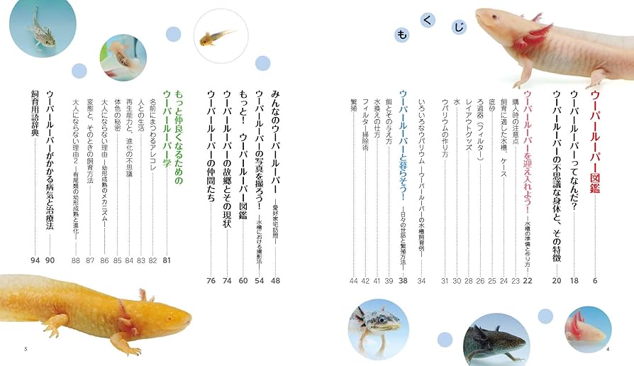 ウーパールーパーと もっと! 仲良くなれる本 (アクアライフの本