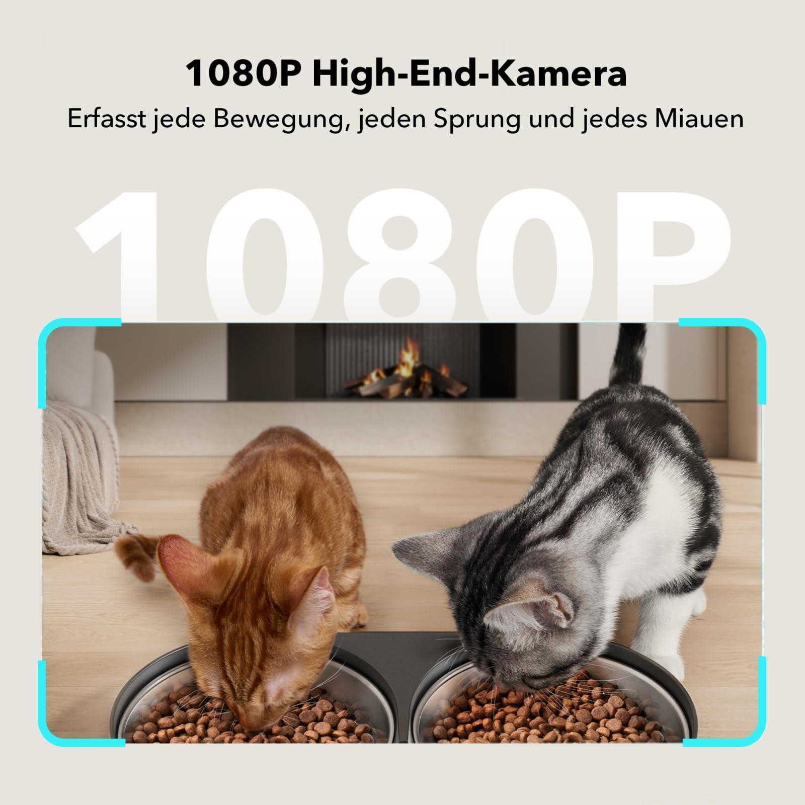 PETLIBRO ETLIBRO Dozownik karmy 2 kot z kamerą 1080P, 5G i 2,4G WiFi automatyczny karmnik dla zwierząt z miskami ze stali nierdzewnej, miski dla kotów lub psów