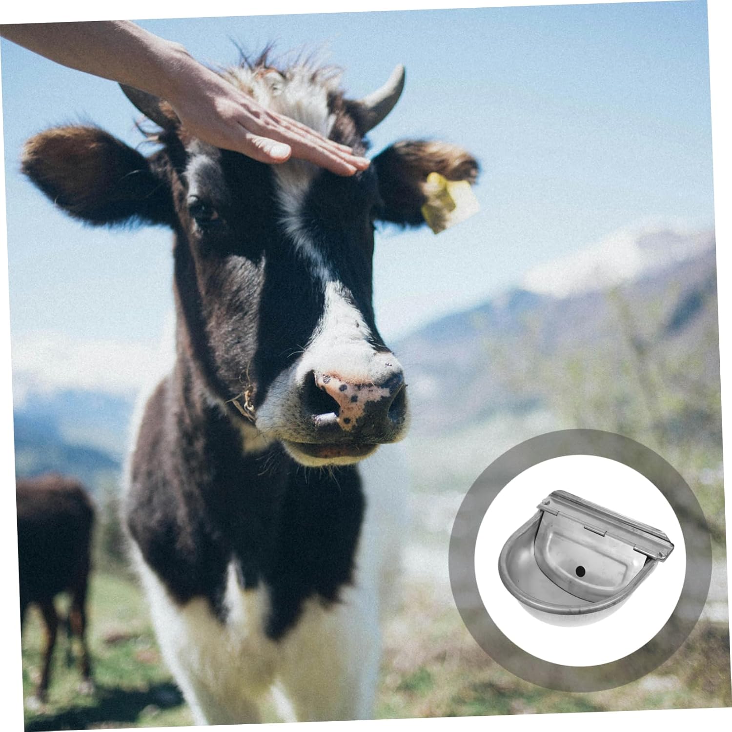 Automatic Waterer for Livestock Farm Grade Stainless Steel Bowl Dog Pig Sheep Water Dispenser Float Valve Easy Maintenance