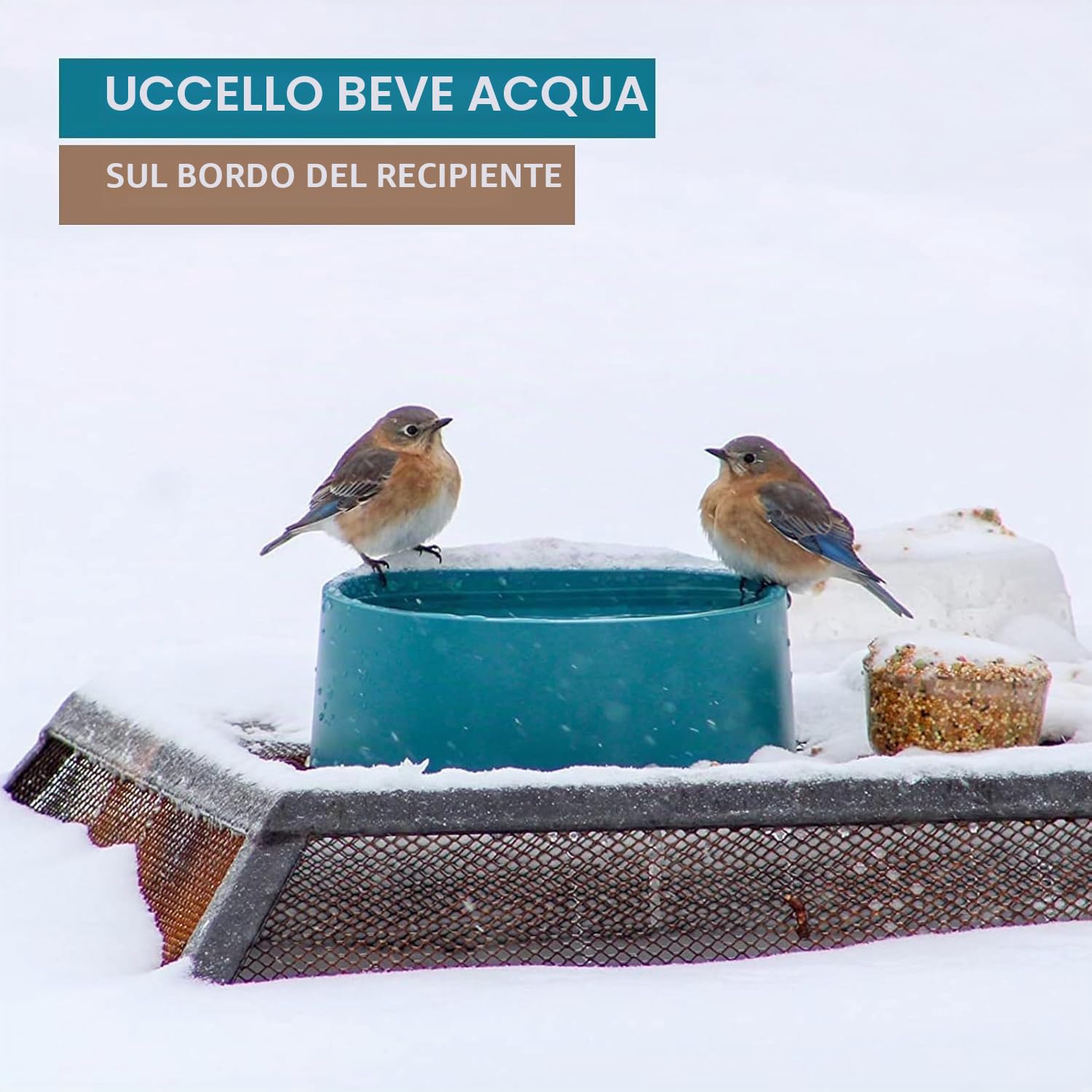 NAMSAN Abbeveratoio Riscaldante per Gatti/ Cani/ Polli/ Conigli Temperature Sotto lo 0 L'acqua è Liquida in Lnverno Cavo Avvolto in Acciaio Anti-morso