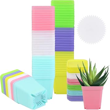 Elcoho 60 Pack 2.7 Inch Square Plants Nursery Pot Multicolor Plastic Plant Seedling Pots Flower Pots Nursery Transplanting Planter Container with Saucer for Your Room,Garden Office and Balcony Decor