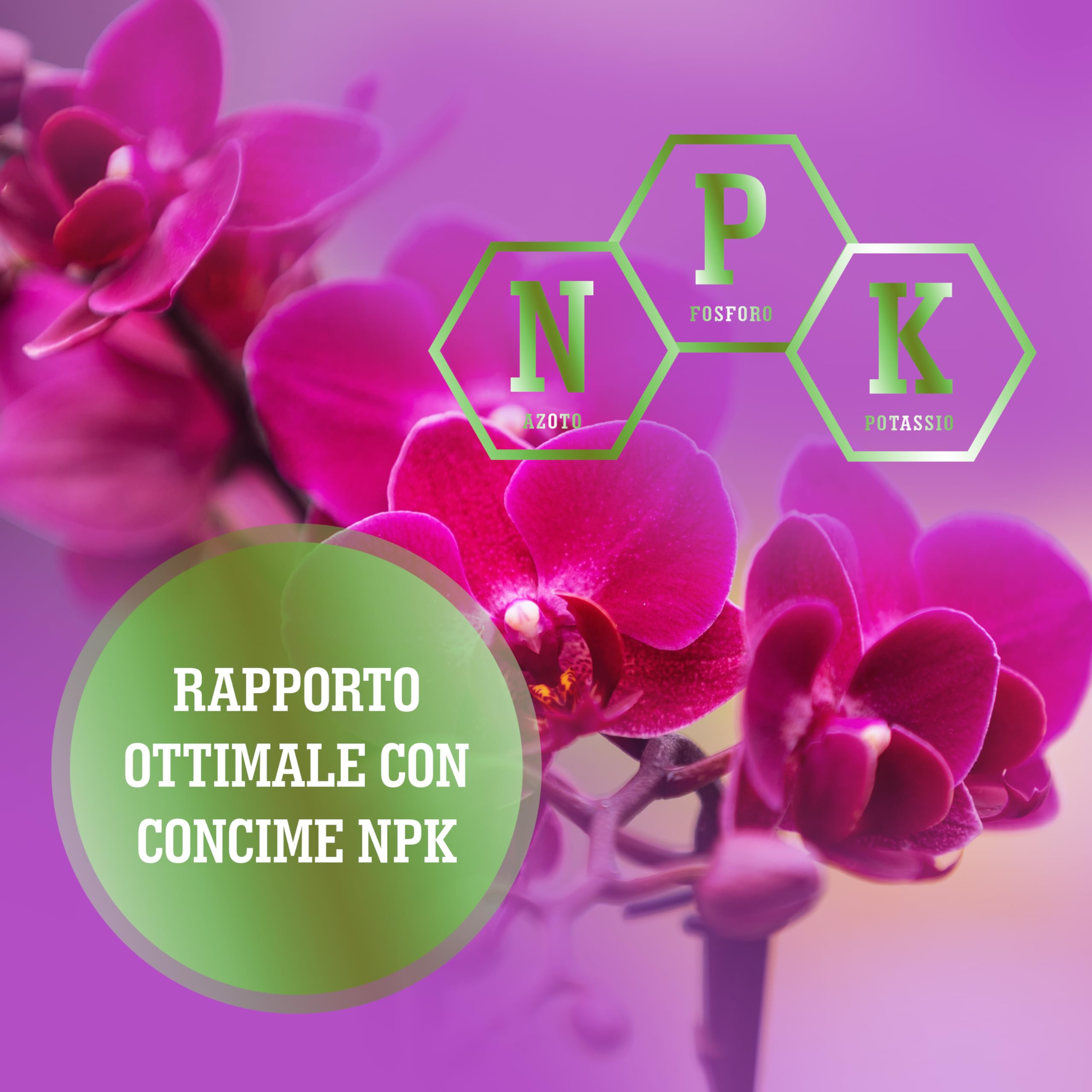 LERAVA concime orchidee liquido – 330ml con tapo dosatore - concime per orchidee per una fioritura ricca - nutrimento bilanciata con microelementi chelati – fertillizzante orchidee “Made in Italy”