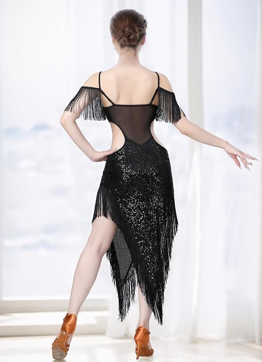 Sequin Fringe Latin Dance Dress, Mesh & Glitter Salsa Dresses for Women, Shimmery Party Skirts