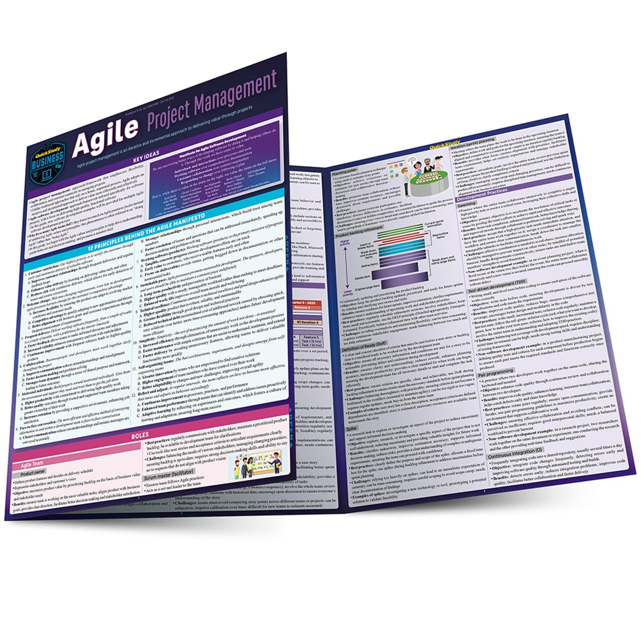 Agile Project Management: a QuickStudy Laminated Reference Guide