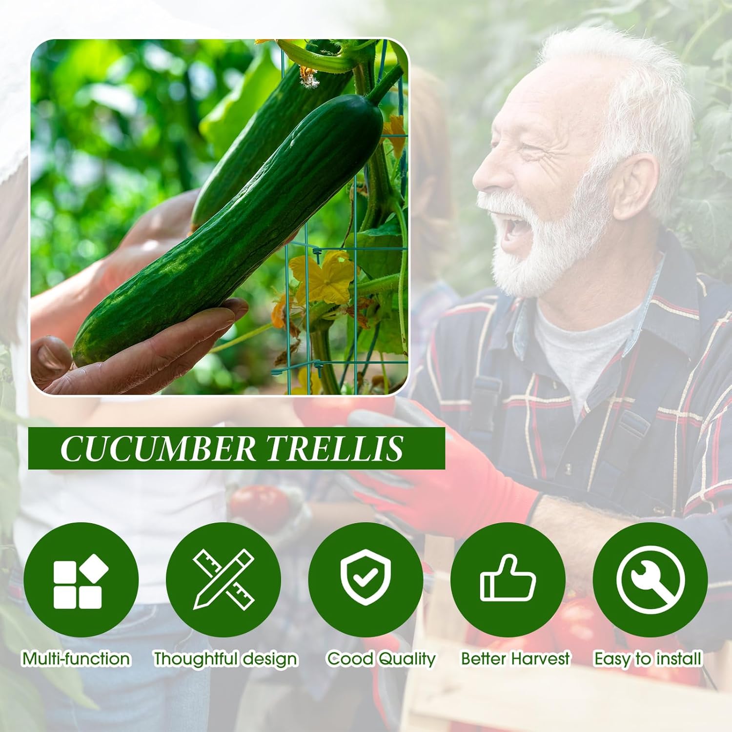 https://m.media-amazon.com/images/I/71S2CZlYQSL._AC_SL1500_.jpg