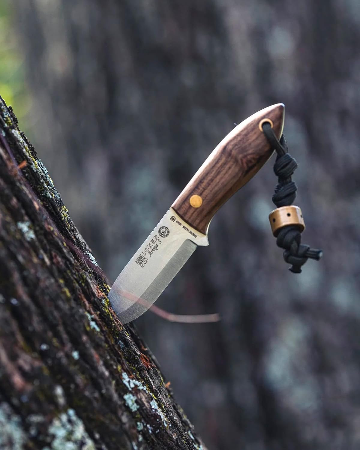 Joker Hunting Knife Avispa S CN121, Blade 3.15 inches of SANDVIK 14C28N Steel, Walnut Wood Handle Brown Leather Sheath, Tool for Fishing, Hunting, Camping and Hiking