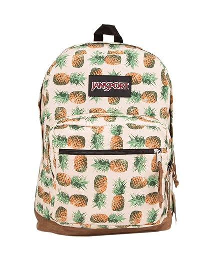 sherpani camden backpack