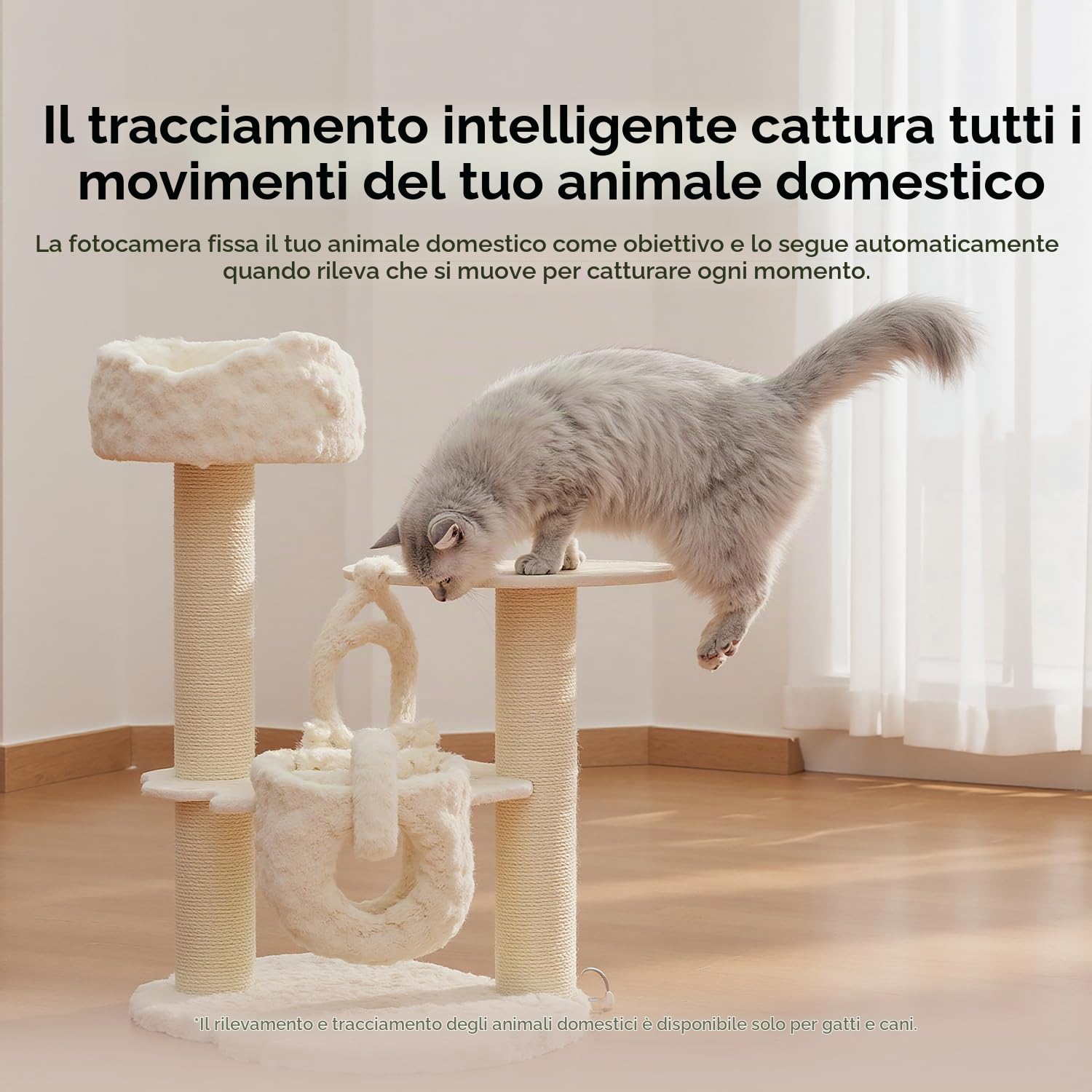 XIAOMI Smart Camera C201 La nitidissima risoluzione HD 1080p protegge ogni angolo della tua casa (Confezione da 2)
