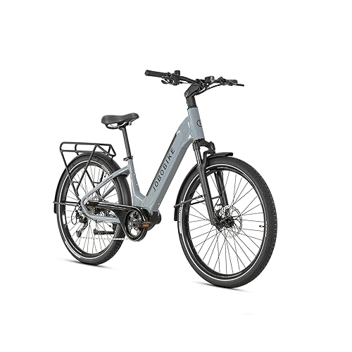 JOBOBIKE Lyon Pro Vélo Électrique de Ville, Moteur Central 250W,