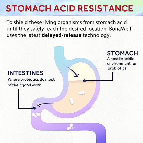 Miniatura 8 de Bonawell Probióticos 120 mil millones de UFC, 32 cepas con prebióticos, enzimas digestivas, probiótico diario 3 en 1, estable en el estante