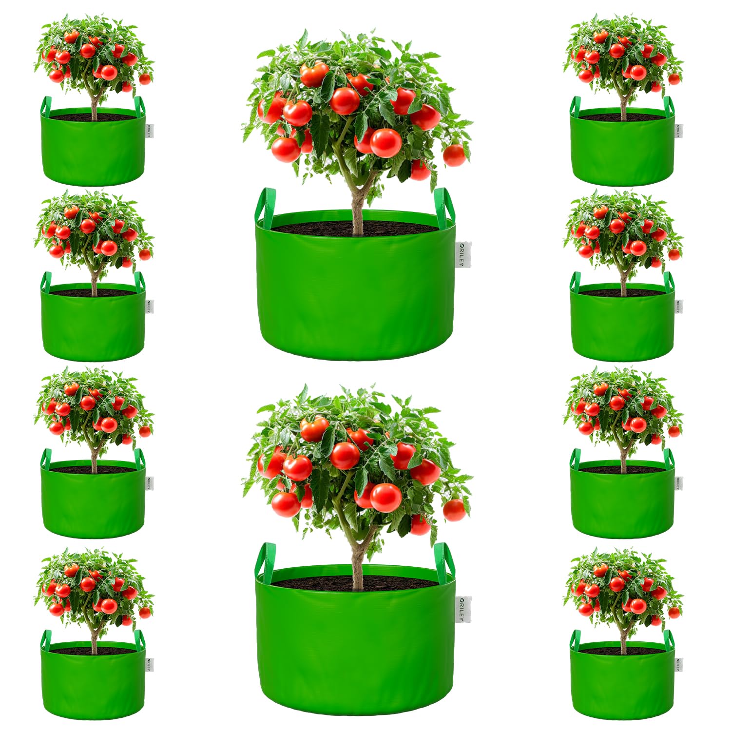 Oriley Grow Bags - Durable Plant Containers -26 Oriley Grow Bags - Durable Plant Containers -26