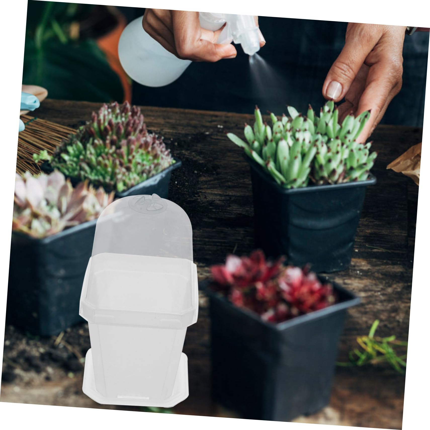 Happyyami 10 Piezas Macetas de Plástico con Tapa y Drenaje Contenedores para Jardín Macetas Transparentes para y Verduras