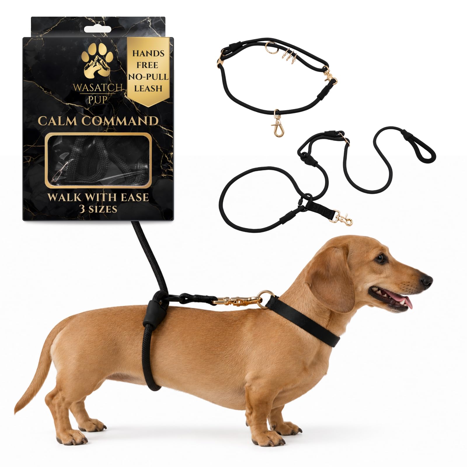 No Pull Hand Free Dog Leash with Wrap-Around Design for Walking
