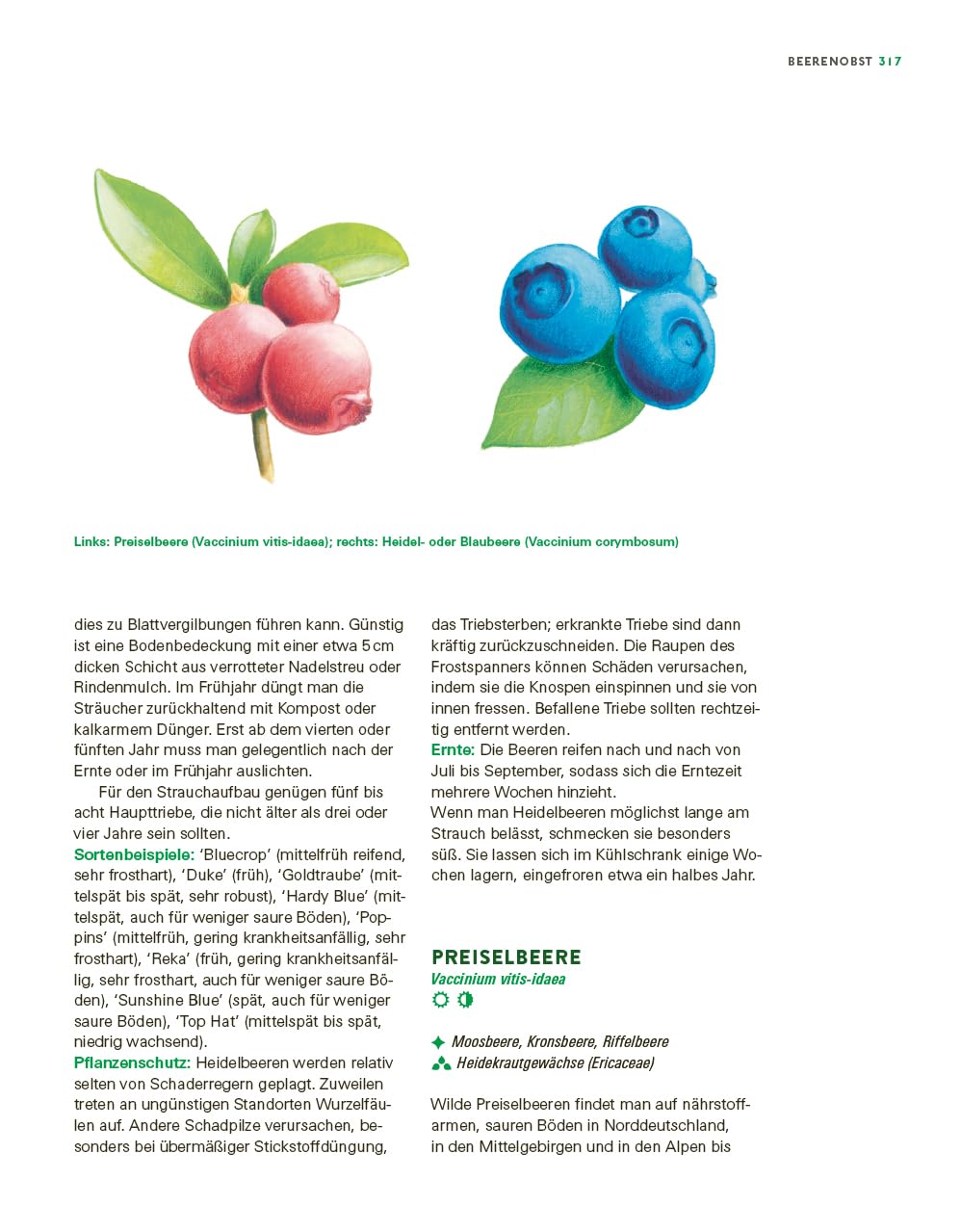 Das große Gemüse- und Obstgartenbuch: Planen, anbauen, pflegen und erfolgreich ernten für Selbstversorger