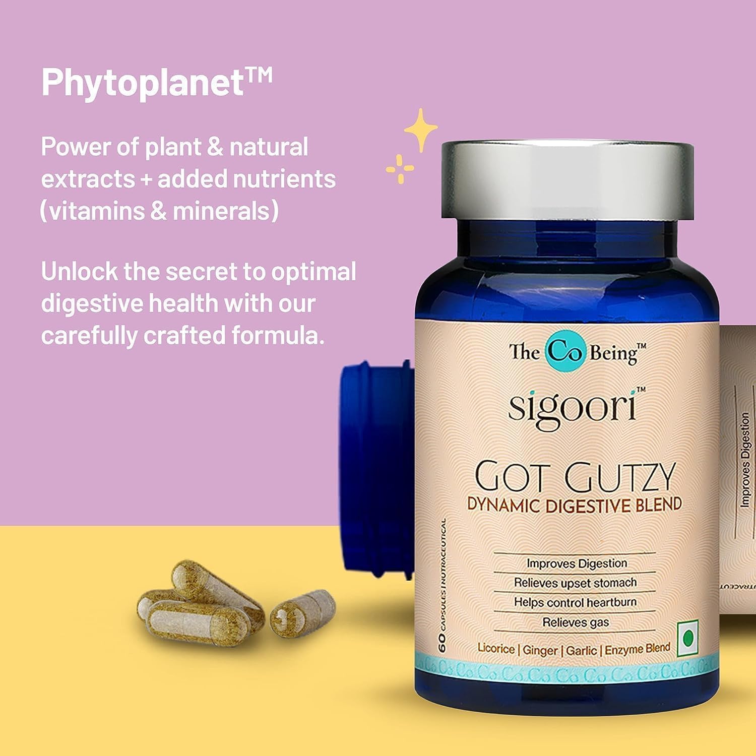 Gut Health Supplements for Men and Women, Got Gutzy, Contains Turmeric, Ginger, Licorice, Aloe Vera and Digestive Enzymes, for Digestive Health, Acidity, Constipation, Nausea, 60 Capsules.