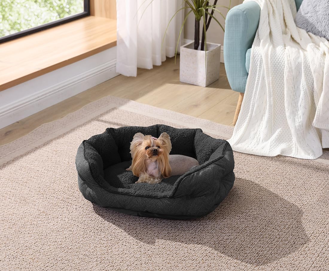 review Arlee Cozy Orthopedic Memory Foam Dog Bed - Premium, Durable, Washable, and Easy to Clean Fabric, Chew Proof Pet Bed for Small and Medium Pets, Ultimate Comfort & Style, Oval - Black(M)