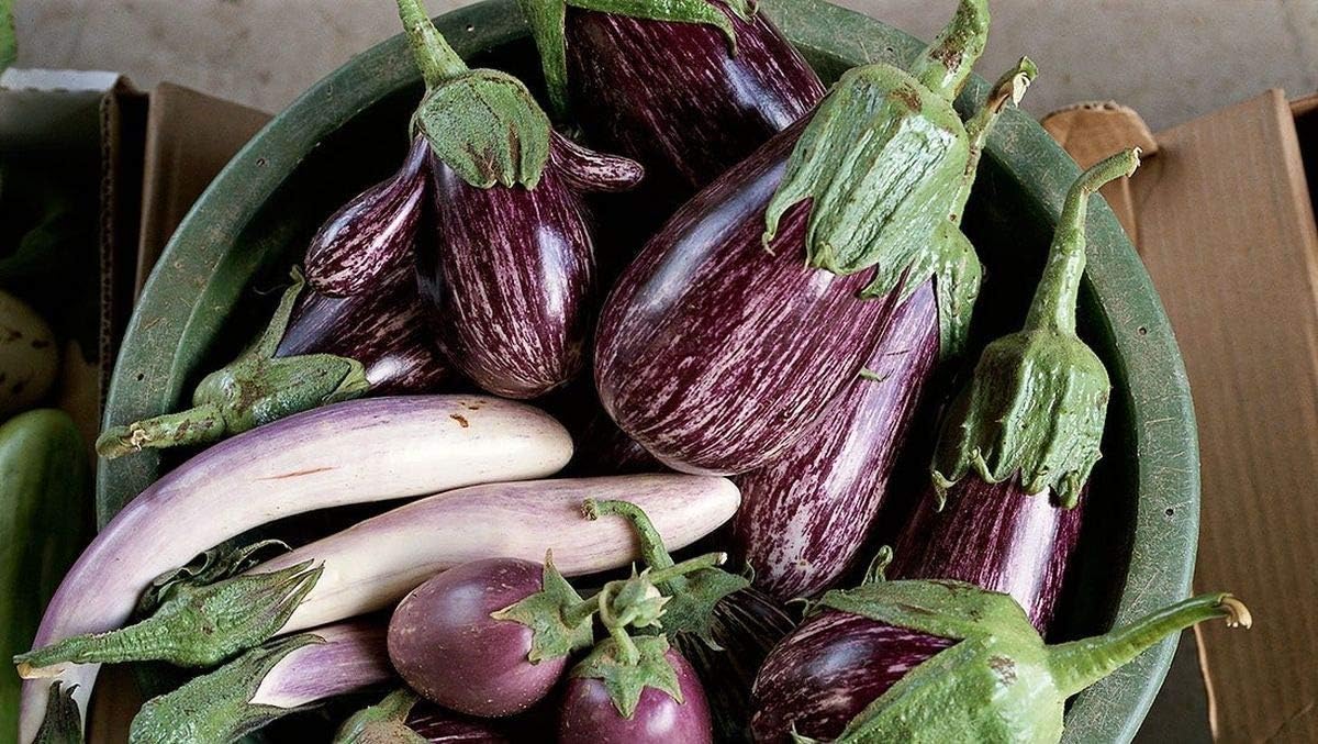Gourmet Blend 15 Varieties Prolific and Super Delicious(300 - Seeds)