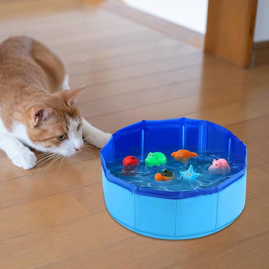 大型プール ビニールプール 家庭用 子供 ・ペット・犬猫 水遊び XL Amazon | 噴水マットプール 【XL・220cm】 ペット用 プール