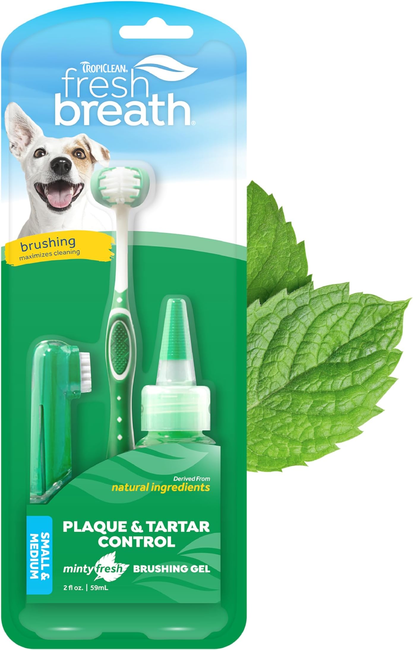 Petrodex Dental Care Kit for Dogs and Puppies, Cleans