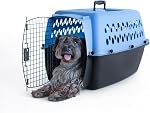 Petmate 21090 Pet Taxi Fashion Kennel, Large (Samba Red/Coffee Grounds) | Durable travel crate made in USA, hard plastic shell with secure door, great at home and on trips, easy to clean carrier