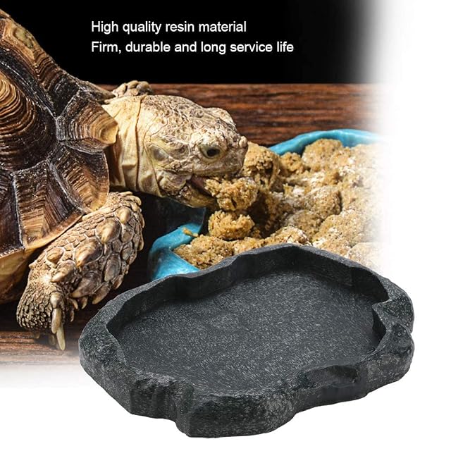 Foto 5 de 8 de Reptil Rock Food Water Dish Alimentador de reptiles duradero Bowl Alimentador de mascotas duradero…