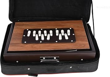 Shruti Box Musical Instrument, Pure Teak Wood Size (13