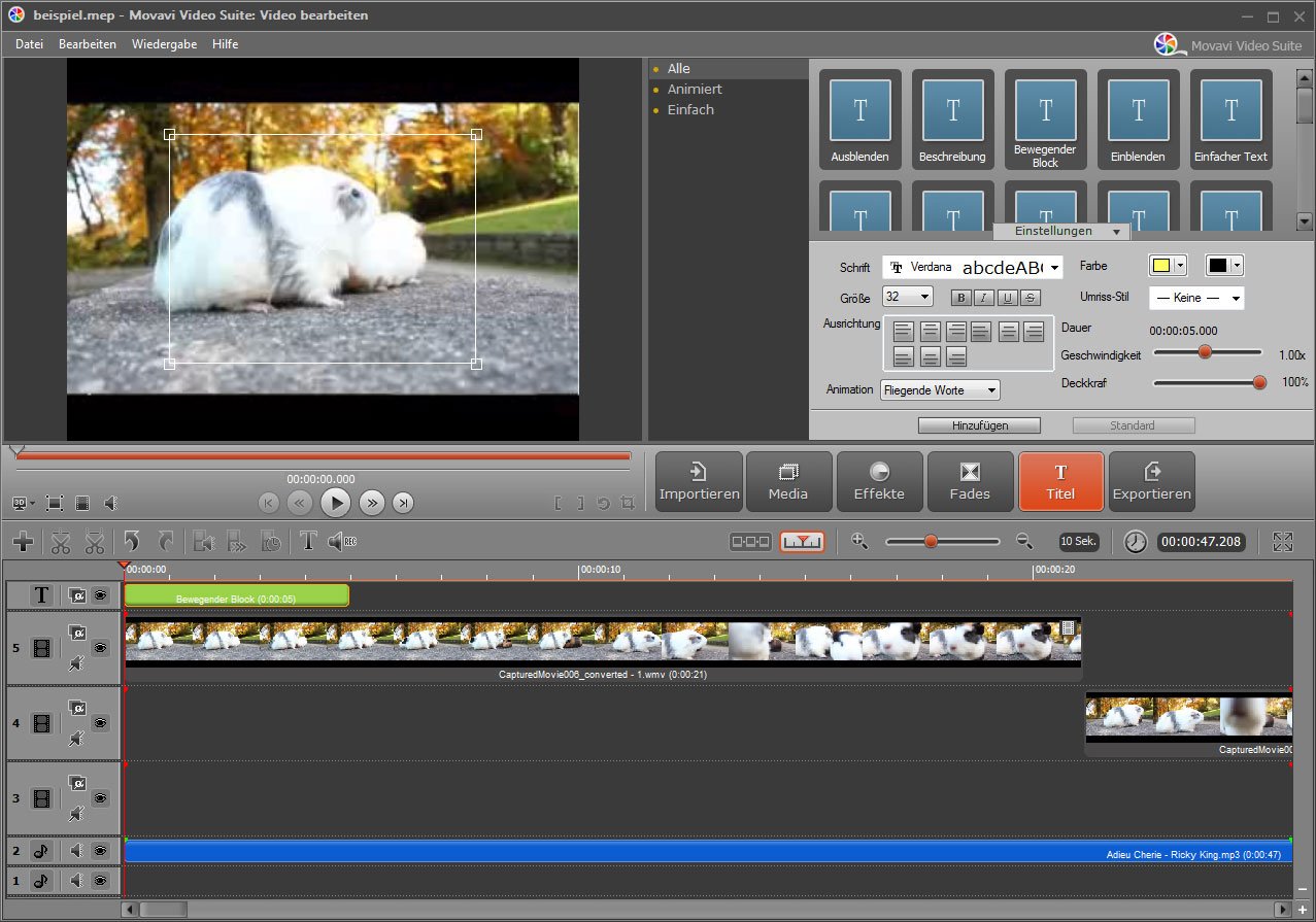 Movavi Video Suite 11 Deluxe