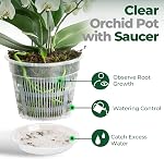 T4U Orchid Pots, 5.5 Inch 6 Pack Nursery Pots with Holes and Saucers, Slotted Plastic Planter for Repotting, Indoor Outdoor Decor for Mature Phalaenopsis and Cattleya | Phalaenopsis dendrobium, Slotted ventilation drainage, Root growth visible, Trans