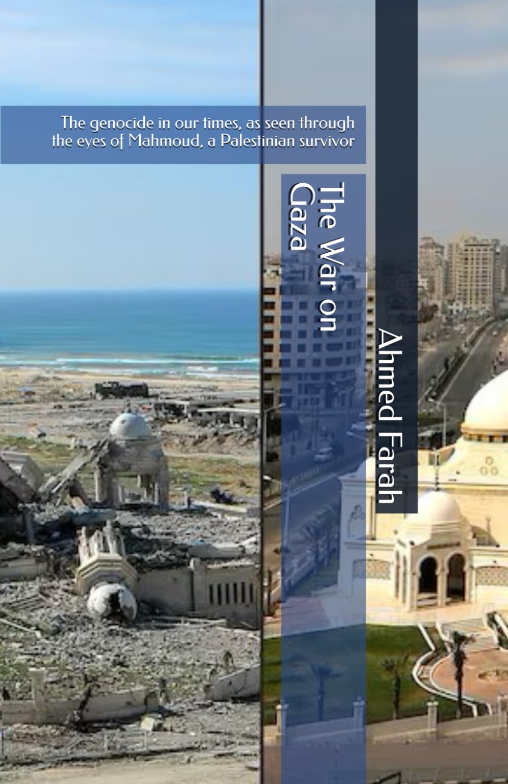The War on Gaza: The genocide in our times, as seen through the eyes of Mahmoud, a Palestinian survivor