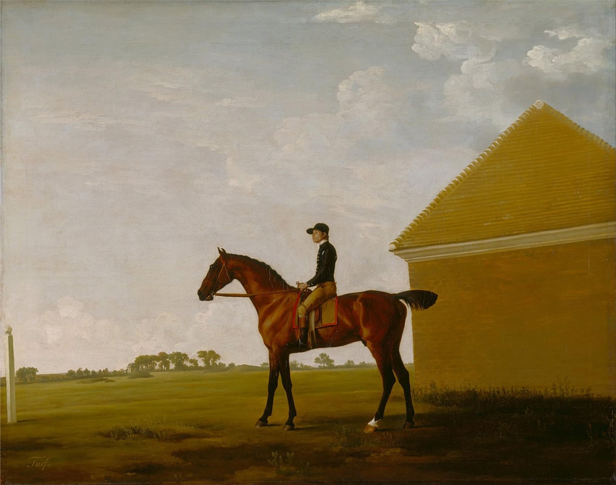 ARTXLXXBN Famous Print Painting Colorful Art Print Turf with Up At Newmarket by George Stubbs Canvas Art Decorations for Home Decor 60x90cm