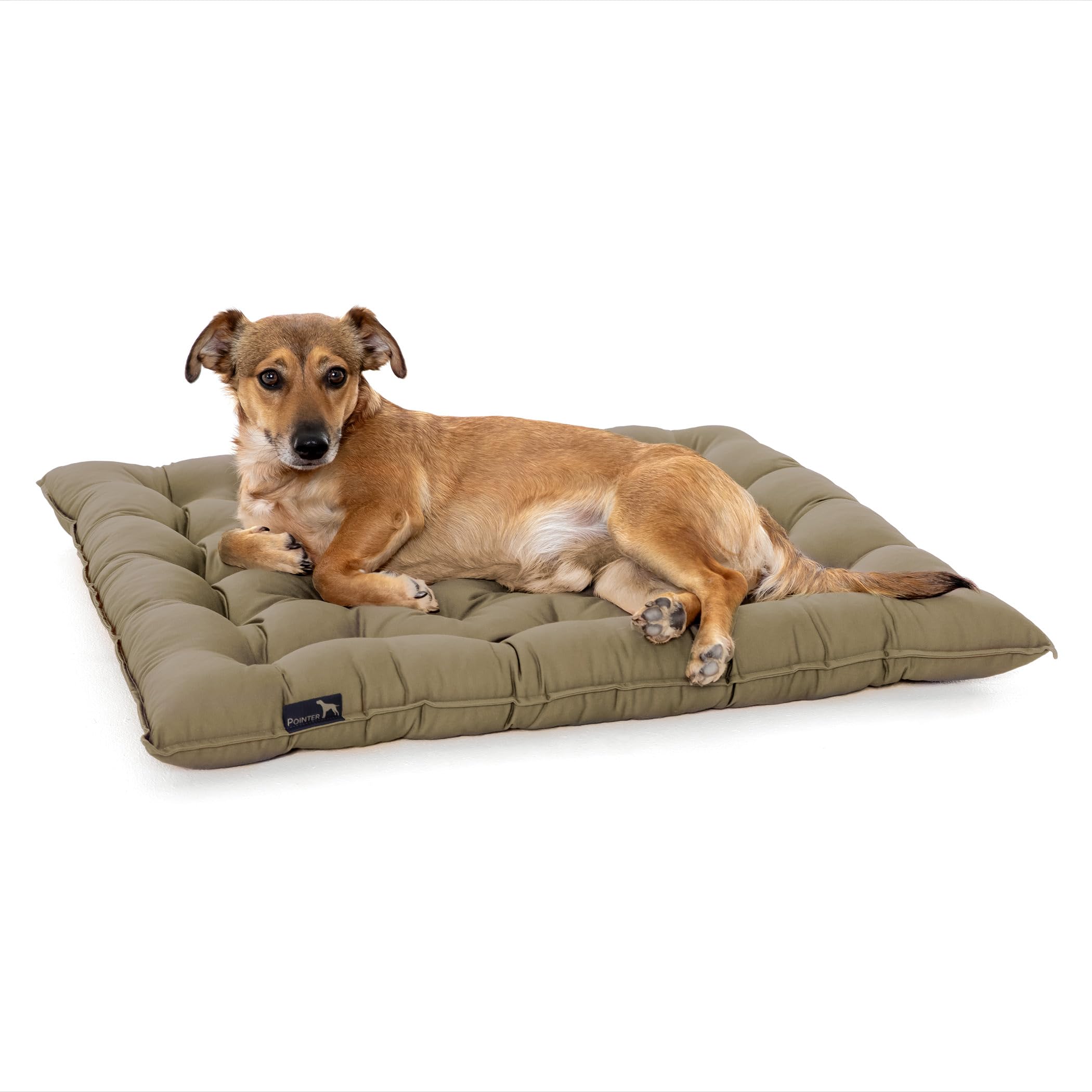 Pointer | Urban Hundekissen Mittlere Hunde, 60x50 cm - Orthopdisches  Hundebett Waschbar bis 95C, Geruchsfrei, Robust, Indoor & Outdoor, Made in  Germany (L - 60x50 cm, Goldbraun) : Amazon.de: Haustier