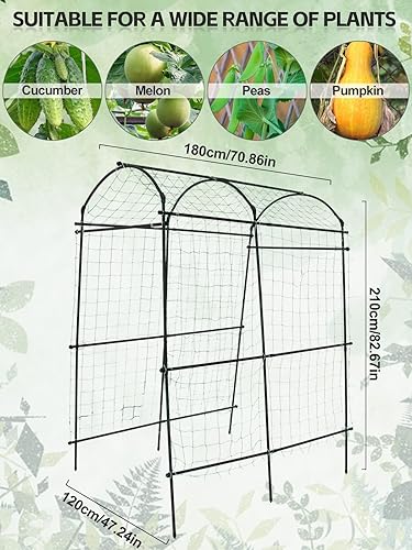 Miniatura 10 de Kalolary - Enrejado de jardín de 6 x 3 pies para plantas trepadoras, enrejado de cultivo de pepino de jardín con marco A a prueba de óxido, soporte