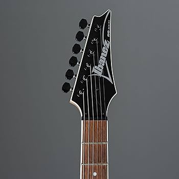 Ibanez エレキギター 黒 Ibanez RG421EX BKF (Black Flat) エレキギター ブラック