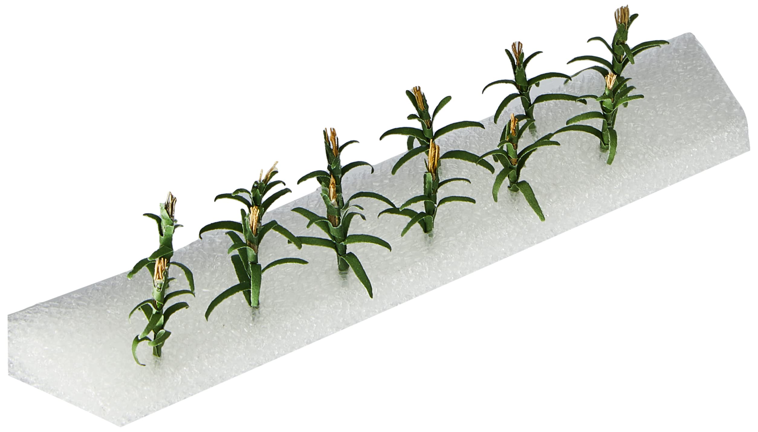 Faller 181250 Maize Plants 36/Scenery and Accessories