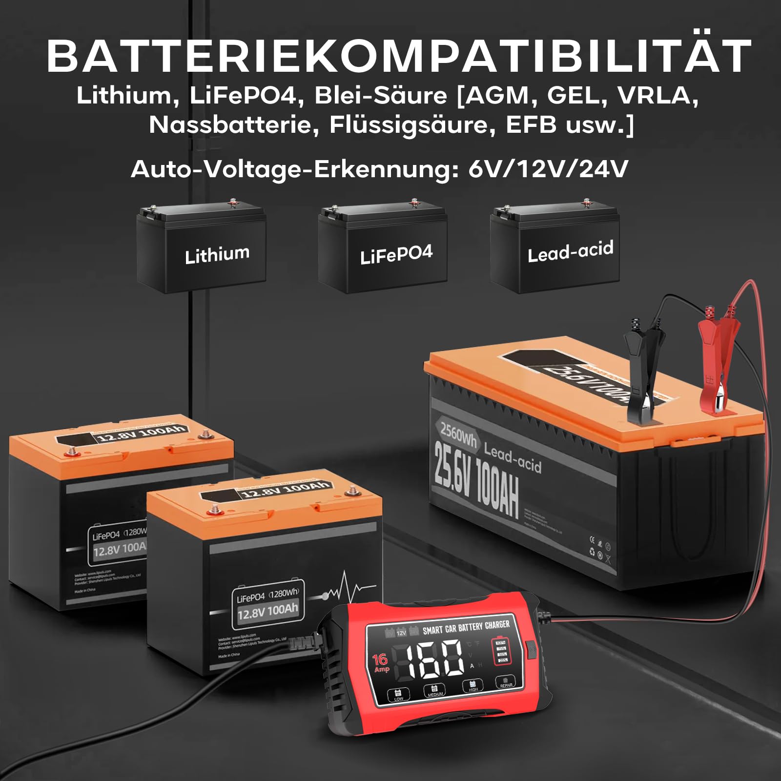 16A 6V/12V/24V Autobatterieladegerät-Haisito Intelligentes Ladegerät mit LCD-Display, Batteriepfleger,Erhaltungsladung&Entsulfatierung für AGM,LiFePO4,Blei-Säure(Motorrad, Wohnmobil, Caravan)