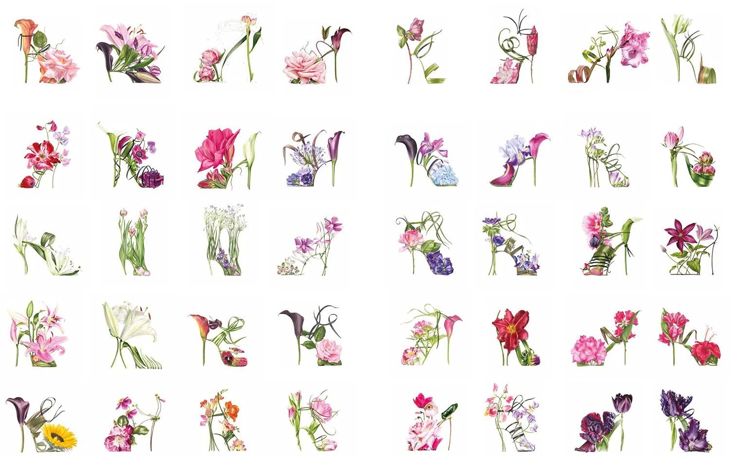 Botanical Shoes, The: A collection of botanical shoe paintings in watercolour and words