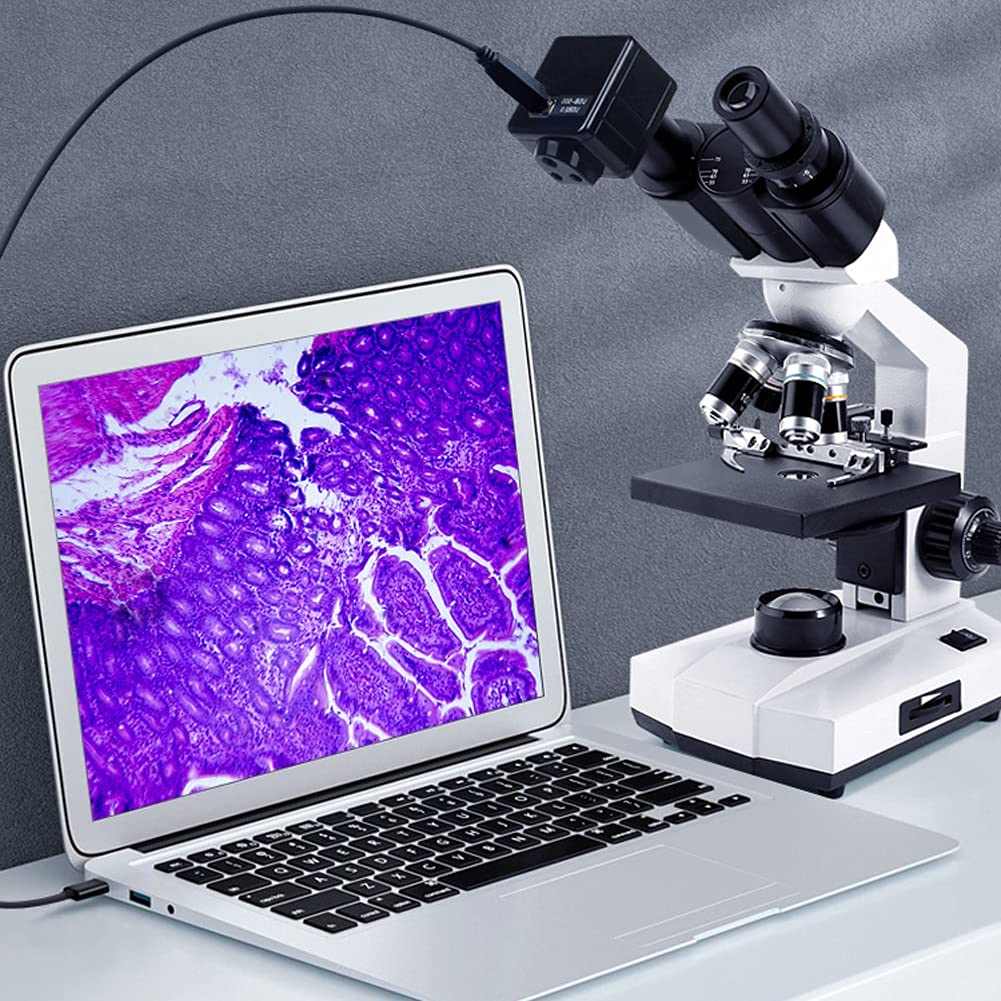 Kit microscopio Composto con Lente d'Ingrandimento Illuminazione a LED per Laboratorio didattico per hobbisti di Laboratorio