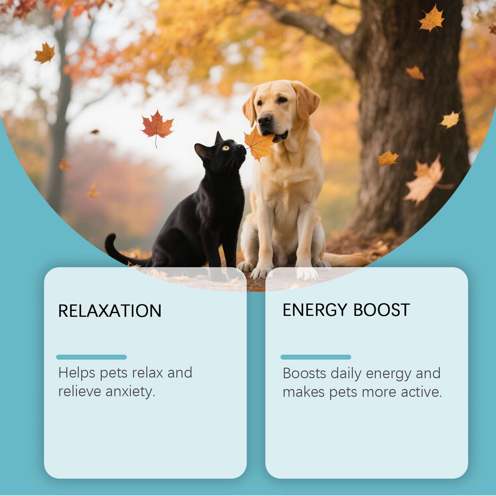 Diffuseur de phéromones apaisantes - Kit diffuseur apaisant | anxiété pour chats, sédatif pour - 60 ml Support de sommeil des sédatifs apaisants - Relaxant pour soulager l