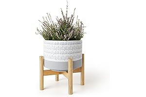 LA Jolie Muse Ceramic Plant Pot with Wood Stand