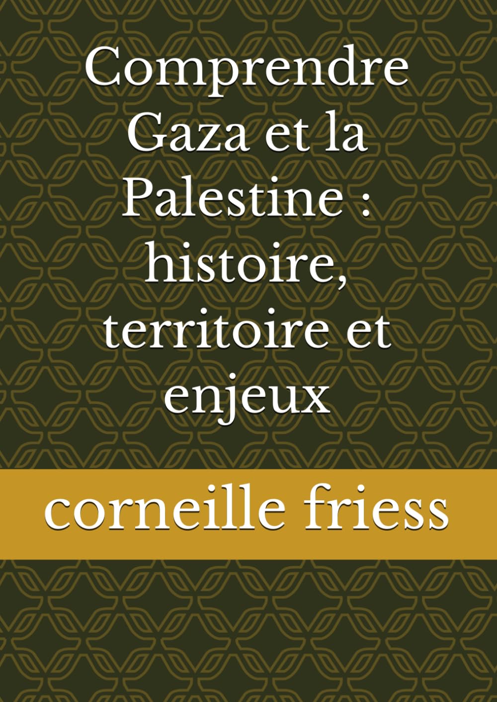 Comprendre Gaza et la Palestine : histoire, territoire et enjeux