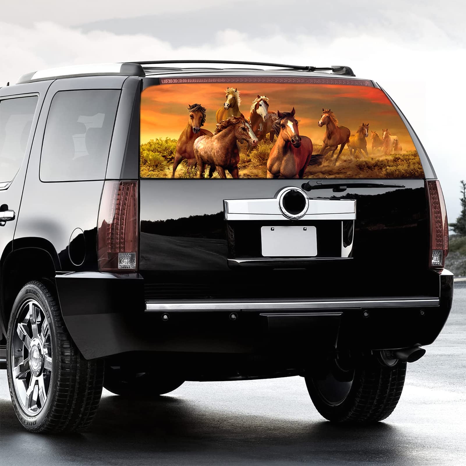 Adesivo per finestrino posteriore per camion, adesivo per finestrino posteriore, motivo: cavallo di destriero, perforato, universale, per camioncini, SUV, graffi nascosti, 167,6 x 73,7 cm