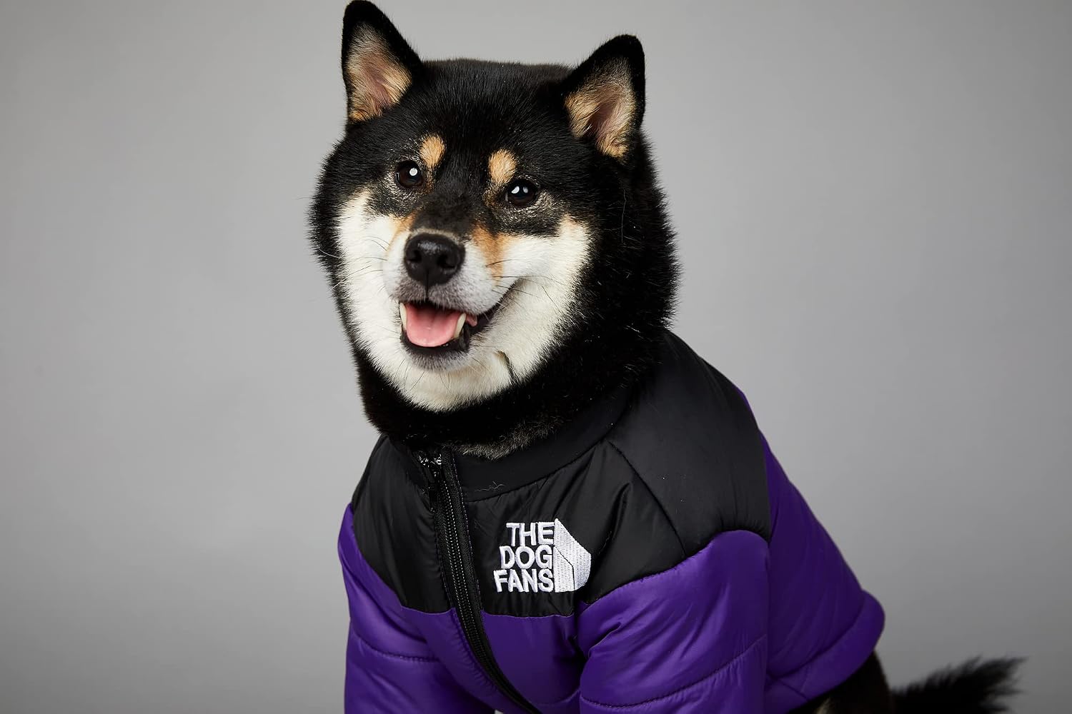 ChoChoCho Cozy Dog Coat - Warm Stylish Dog Jacket for Cold Weather, Snow & Winter (M, Purple)