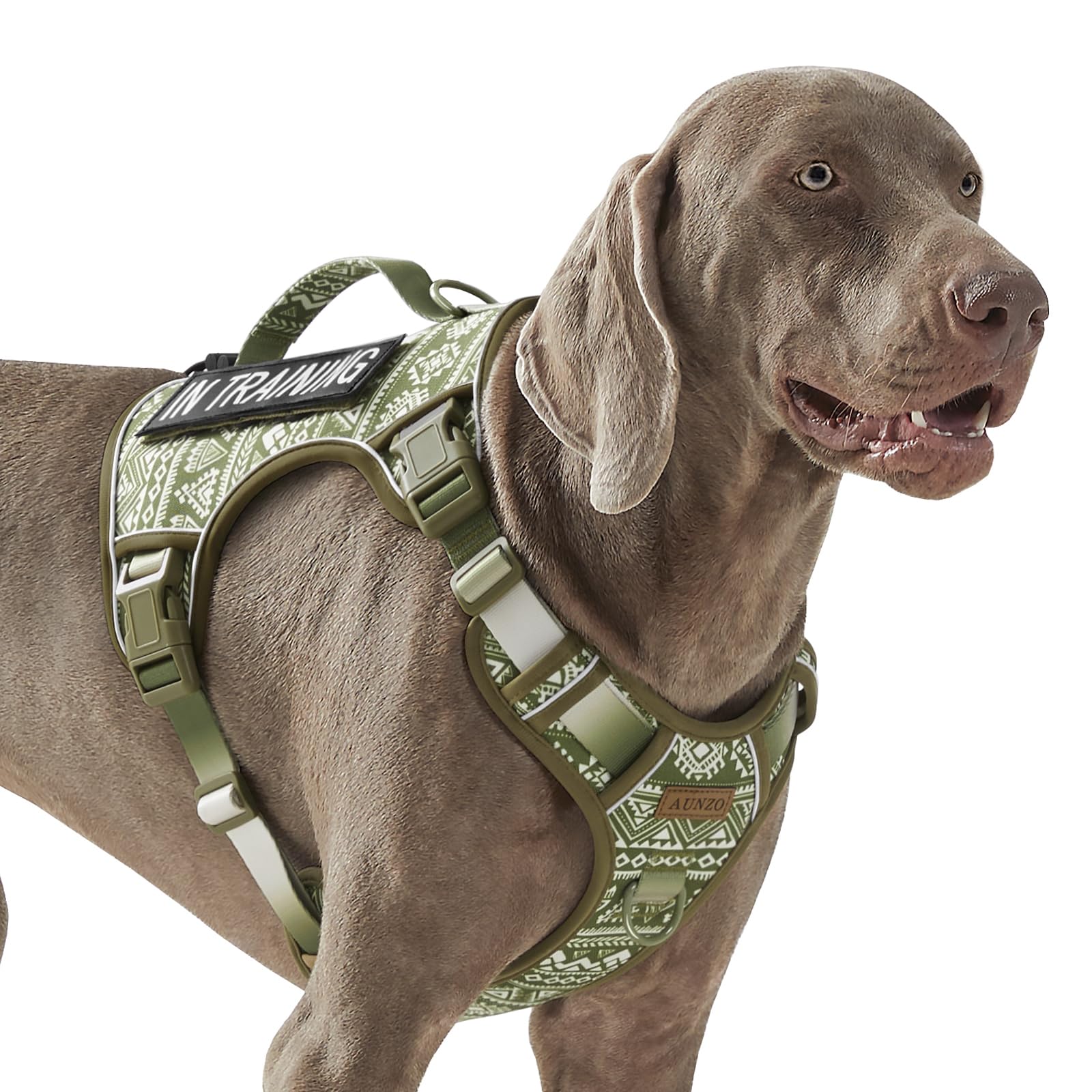 Heavy Duty No Pull Tactical Dog Harness for Large Dogs, Labrador Golden Retriever German Shepherd, Adjustable Soft Padded Dog Vest, Breathable Pet Oxford Vest with Easy Control Handle, Green Ethnic L — image 1