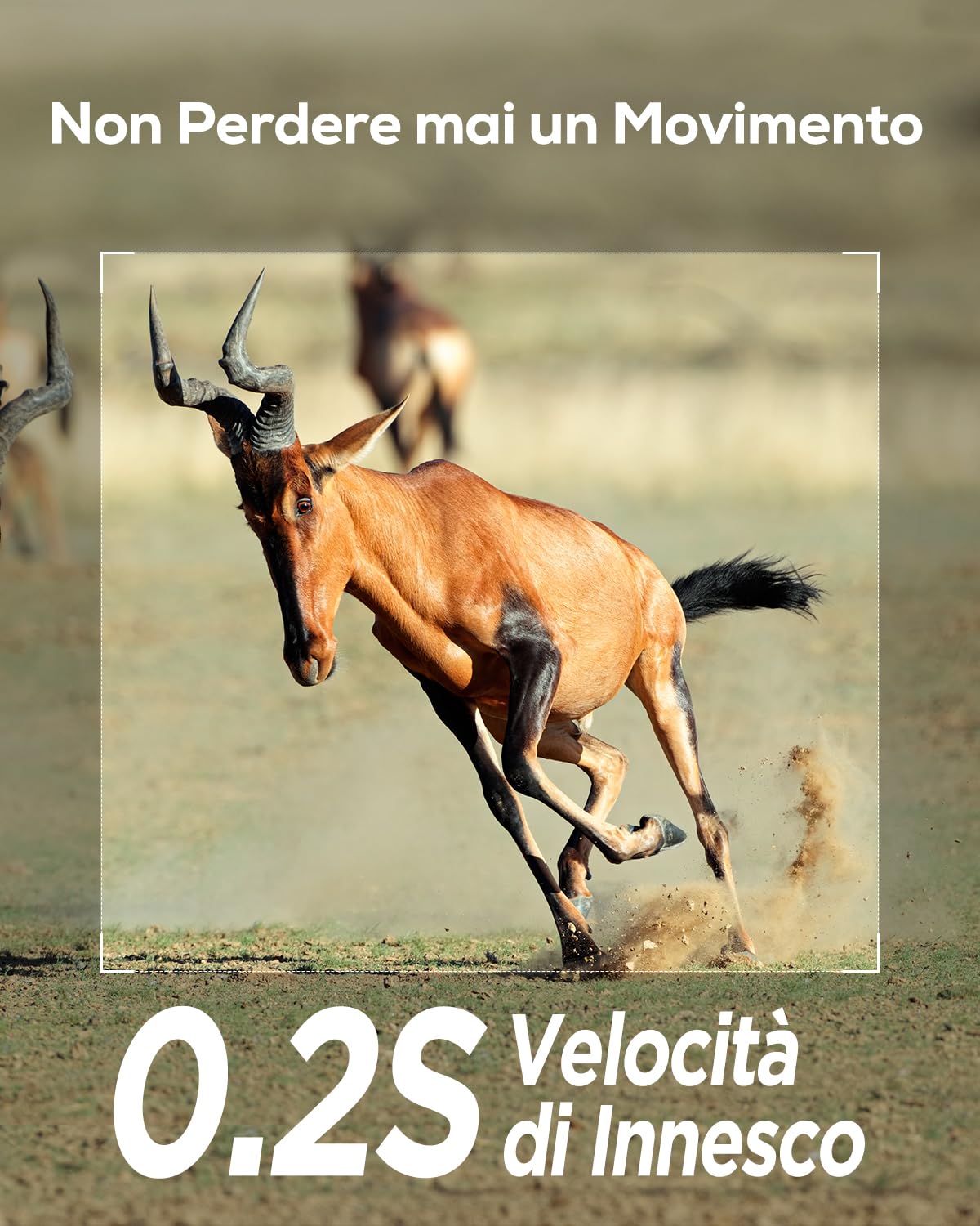 iZEEKER Fototrappola 2K 36MP HD con LED a Infrarossi Invisibili 940nm