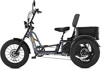 Tour 2400W Dual Motor Electric Tricycle for Adults, 48V 30AH Dual Battery Fat Tire Electric Trike, 25MPH 130Miles Full Suspension AWD Etrike (with an Extra Battery & Upgraded Folding Seat)