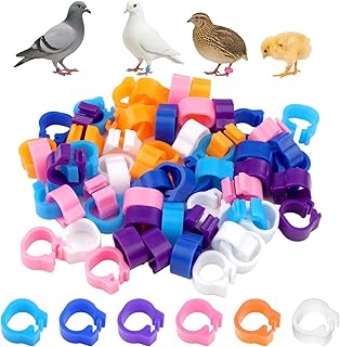 60 Pcs 8mm Bird Leg Rings - Assorted Colors Random Mix Small Bird Leg Bands for Chicks, Bantam, Finch, Dove, Coturnix Quail, Pigeon & Poultry - Clip On Identification Rings for Chicken, Baby Chicks