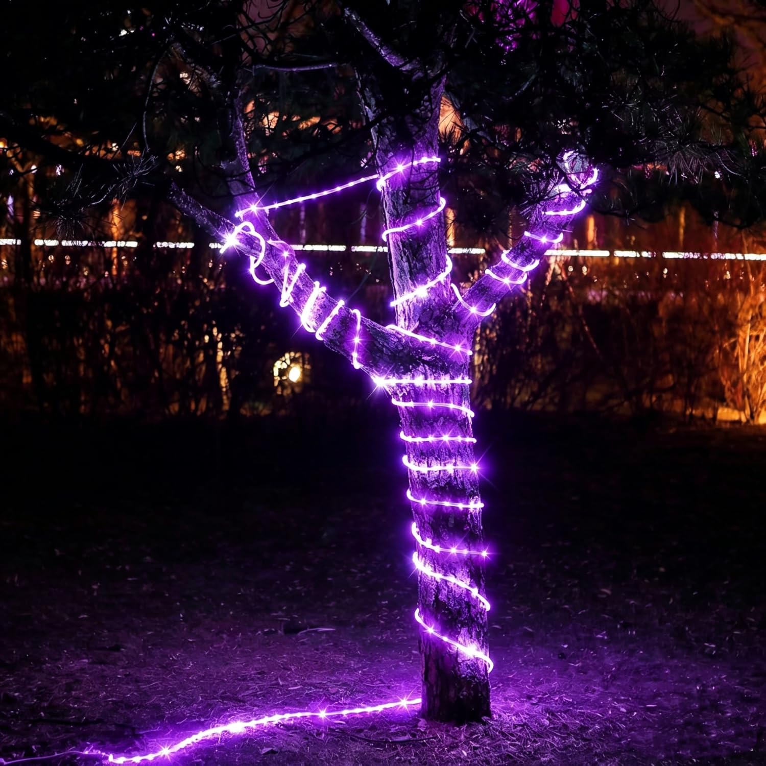 DINGFU 50ft 360 LED Purple Rope Lights, 110V Connectable Purple